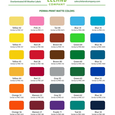 color palette to choose from 